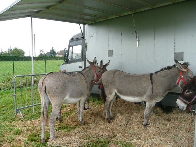 Ferolles (10).jpg
